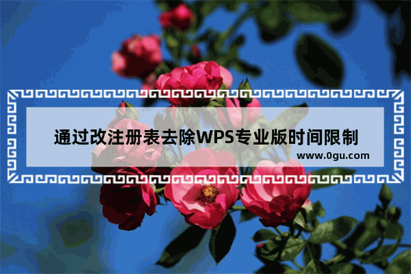 通过改注册表去除WPS专业版时间限制