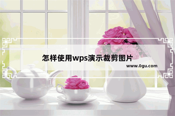 怎样使用wps演示裁剪图片