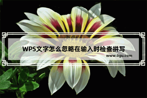 WPS文字怎么忽略在输入时检查拼写