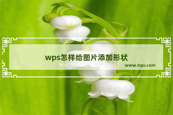 wps怎样给图片添加形状