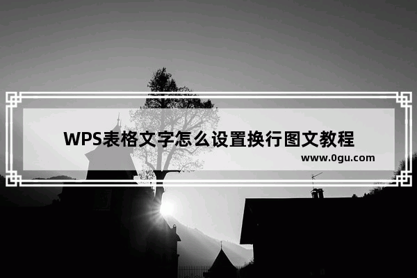 WPS表格文字怎么设置换行图文教程