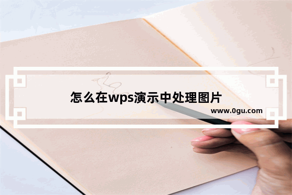 怎么在wps演示中处理图片