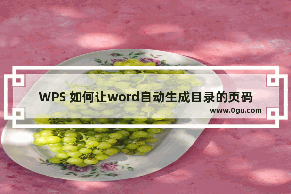 WPS 如何让word自动生成目录的页码和正文的页码一样