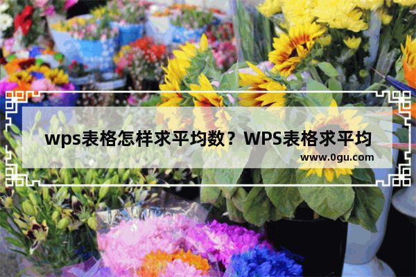 wps表格怎样求平均数？WPS表格求平均数教程