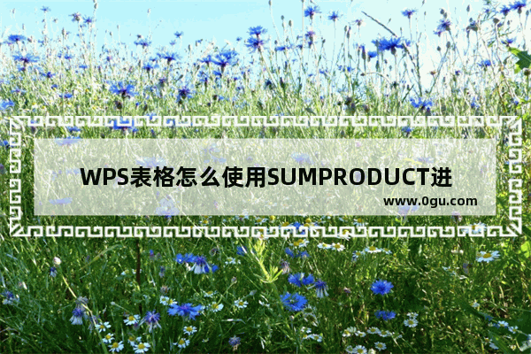 WPS表格怎么使用SUMPRODUCT进行数据统计