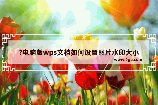 ?电脑版wps文档如何设置图片水印大小