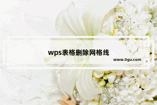 wps表格删除网格线