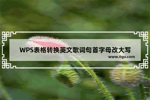 WPS表格转换英文歌词句首字母改大写