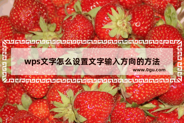 wps文字怎么设置文字输入方向的方法