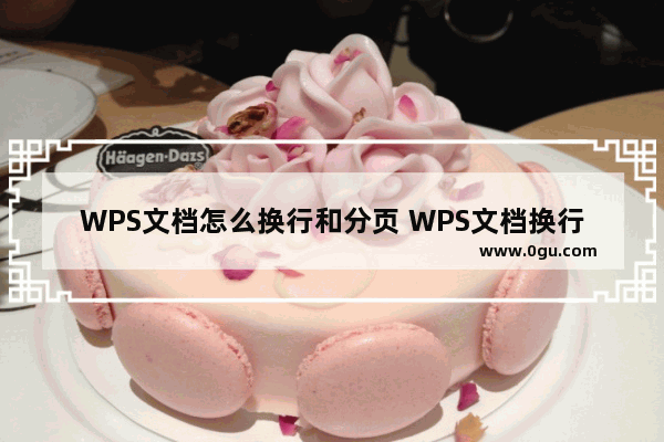 WPS文档怎么换行和分页 WPS文档换行和分页功能使用方法教学