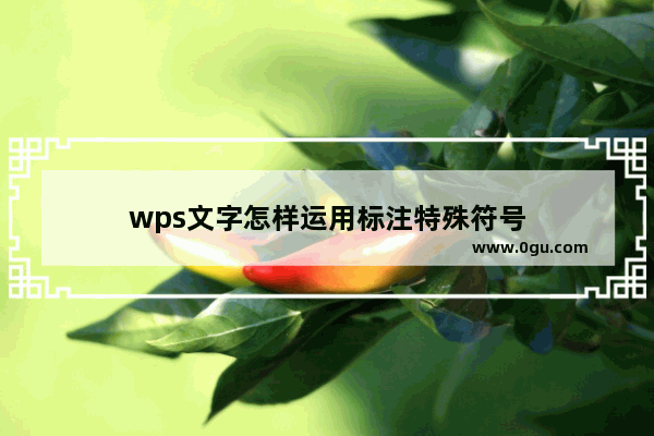 wps文字怎样运用标注特殊符号