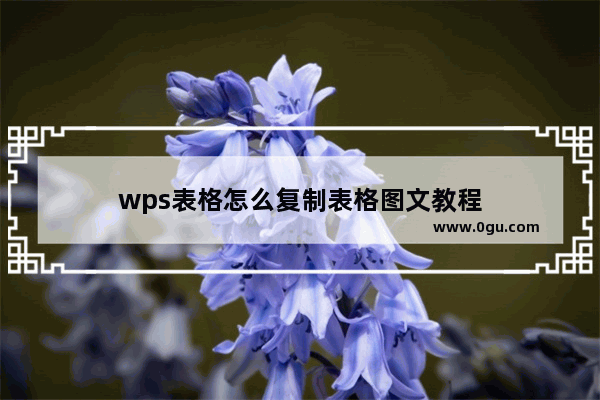 wps表格怎么复制表格图文教程