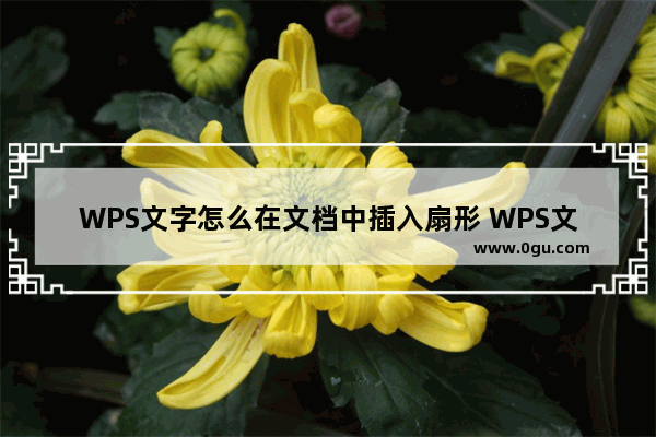 WPS文字怎么在文档中插入扇形 WPS文字在文档中插入扇形操作教学