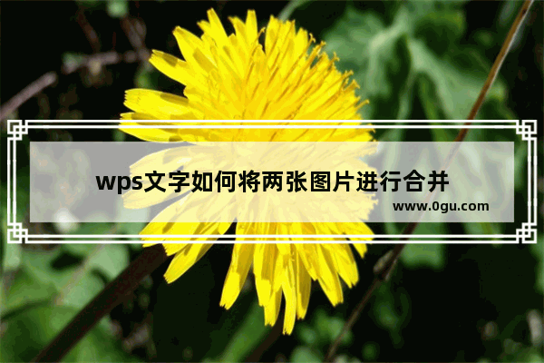 wps文字如何将两张图片进行合并