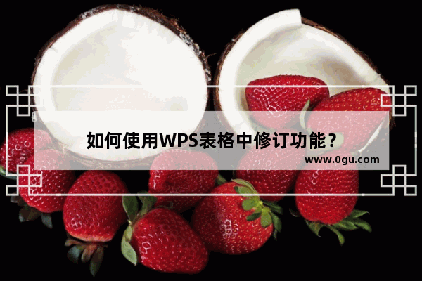 如何使用WPS表格中修订功能？