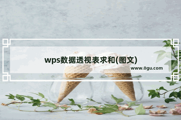 wps数据透视表求和(图文)