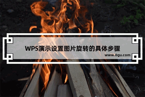 WPS演示设置图片旋转的具体步骤