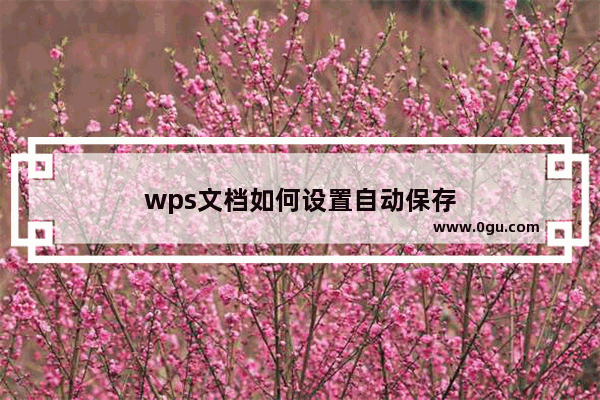 wps文档如何设置自动保存