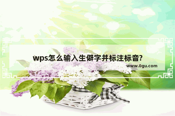 wps怎么输入生僻字并标注标音?