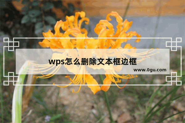 wps怎么删除文本框边框