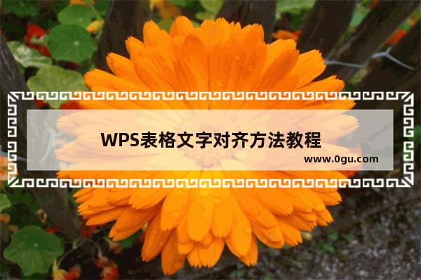 WPS表格文字对齐方法教程