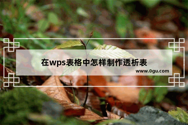 在wps表格中怎样制作透析表