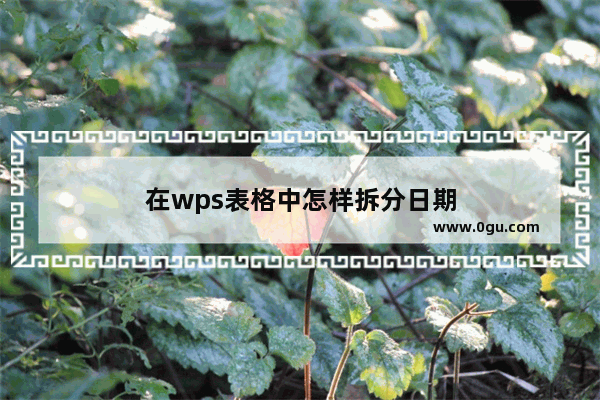 在wps表格中怎样拆分日期