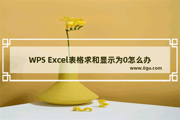 WPS Excel表格求和显示为0怎么办