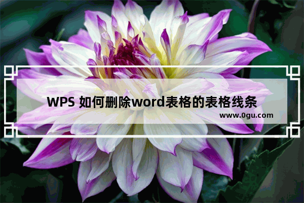 WPS 如何删除word表格的表格线条