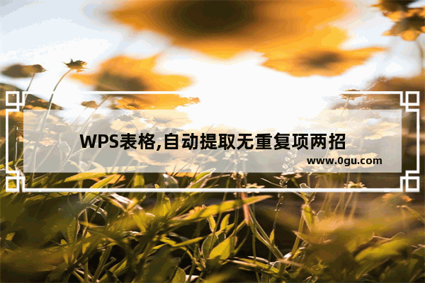 WPS表格,自动提取无重复项两招