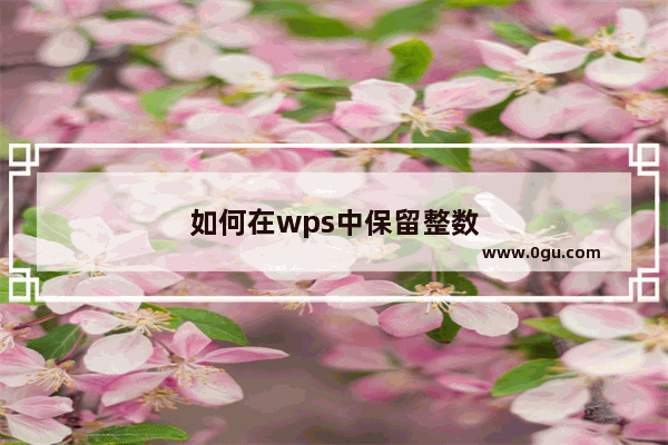 如何在wps中保留整数