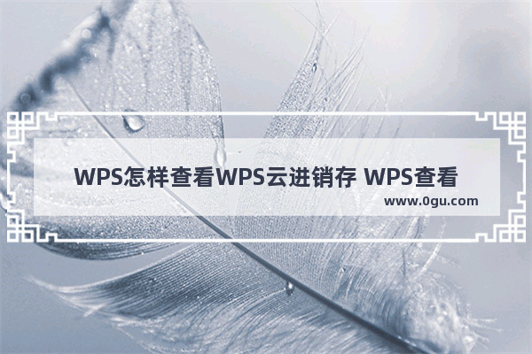 WPS怎样查看WPS云进销存 WPS查看WPS云进销存的方法【详解】