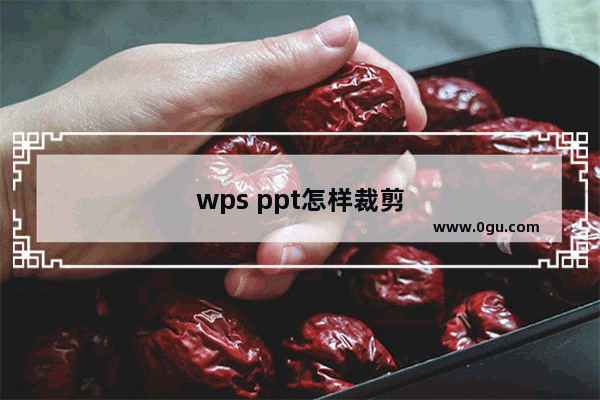 wps ppt怎样裁剪