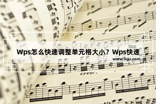 Wps怎么快速调整单元格大小？Wps快速调整单元格大小的方法