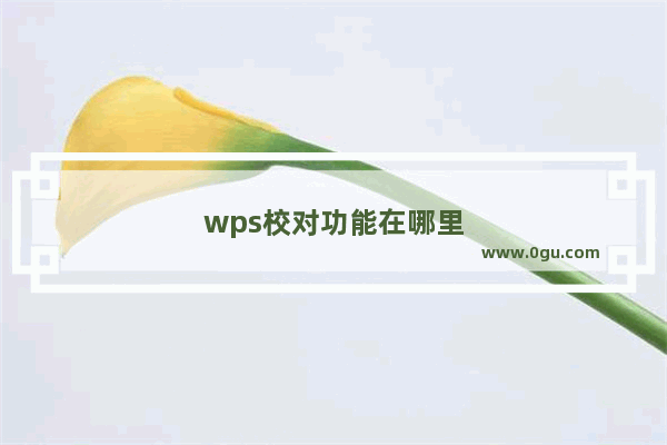 wps校对功能在哪里