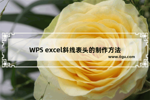 WPS excel斜线表头的制作方法