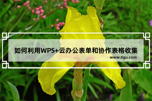 如何利用WPS+云办公表单和协作表格收集员工身体健康状况信息？