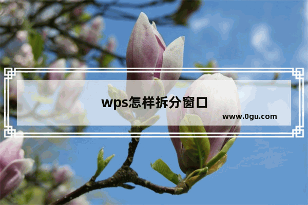 wps怎样拆分窗口