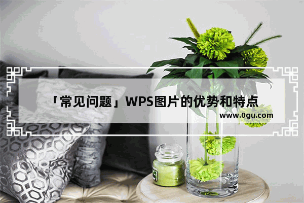 「常见问题」WPS图片的优势和特点