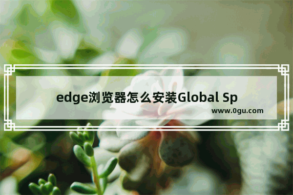 edge浏览器怎么安装Global Speed插件 edge浏览器下载Global Speed插件的方法