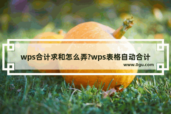 wps合计求和怎么弄?wps表格自动合计总金额方法汇总