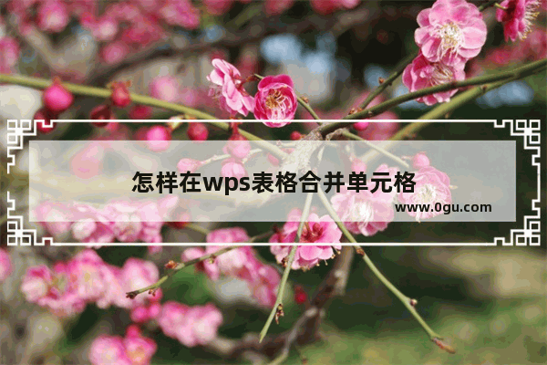 怎样在wps表格合并单元格