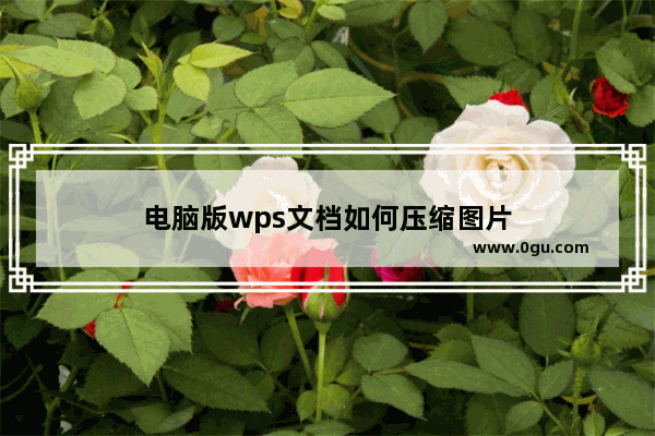 电脑版wps文档如何压缩图片