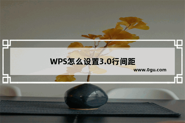 WPS怎么设置3.0行间距