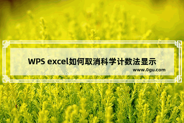 WPS excel如何取消科学计数法显示