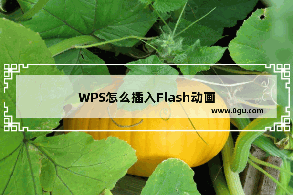 WPS怎么插入Flash动画