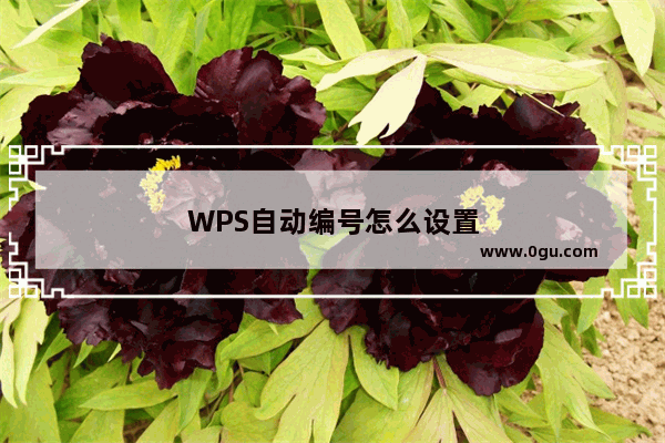 WPS自动编号怎么设置