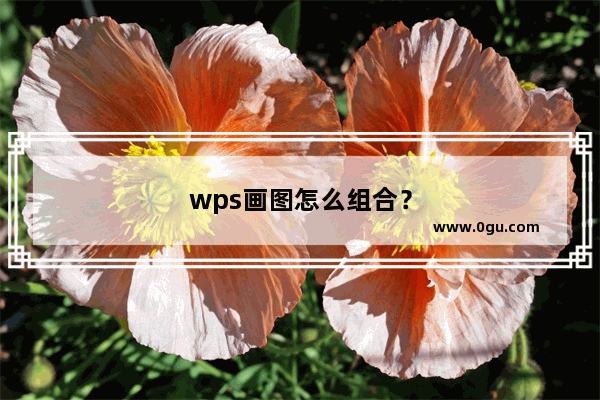 wps画图怎么组合？