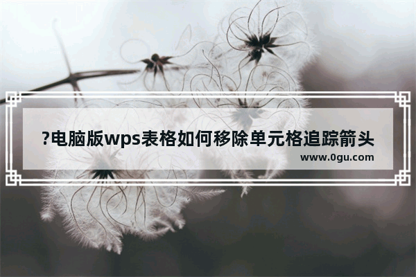 ?电脑版wps表格如何移除单元格追踪箭头