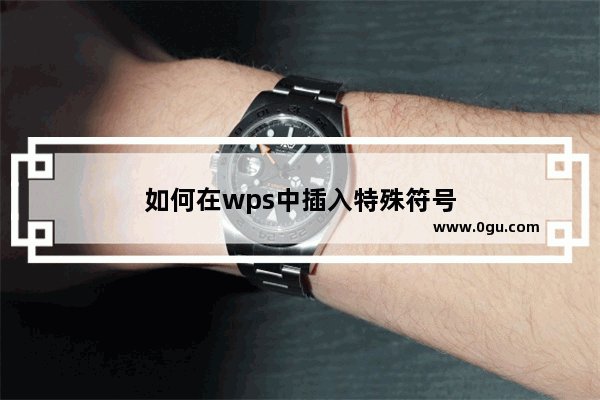 如何在wps中插入特殊符号